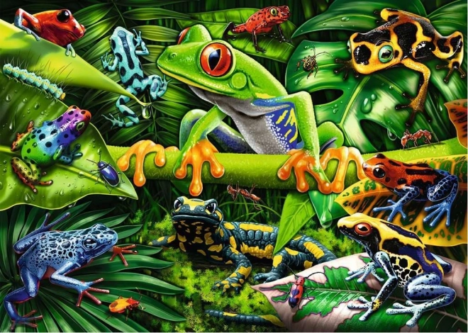 Puzzle Amazing Amphibians 35 Pieces