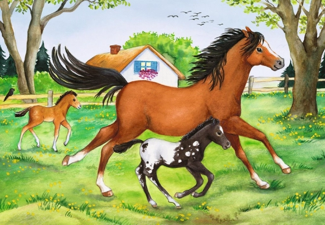 Een betoverende paardenwereld die kinderen enthousiast maakt