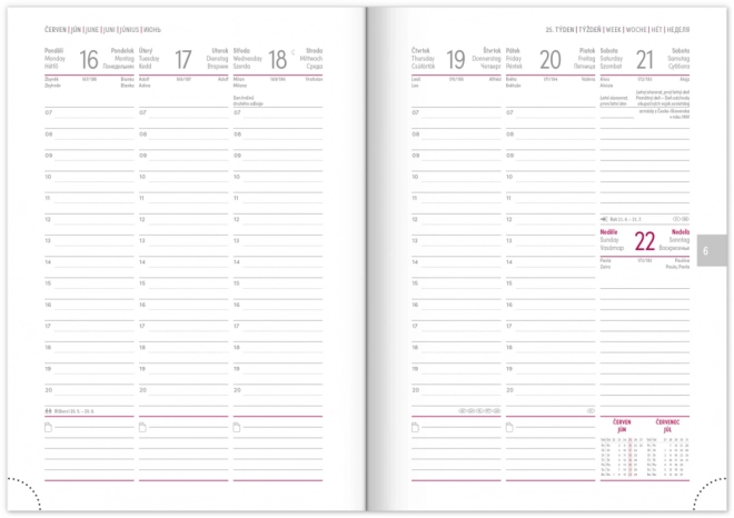 NOTIQUE Wekelijkse agenda Balacron 2025, zilverkleurig, 15 x 21 cm