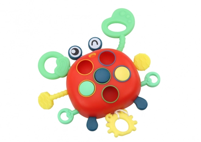 Zintuiglijke krab interactieve educatieve kinderspeeltje bijtring