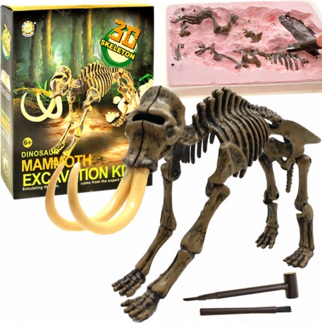 Kit de fouilles – squelette de T‑Rex 3D – Mammouth