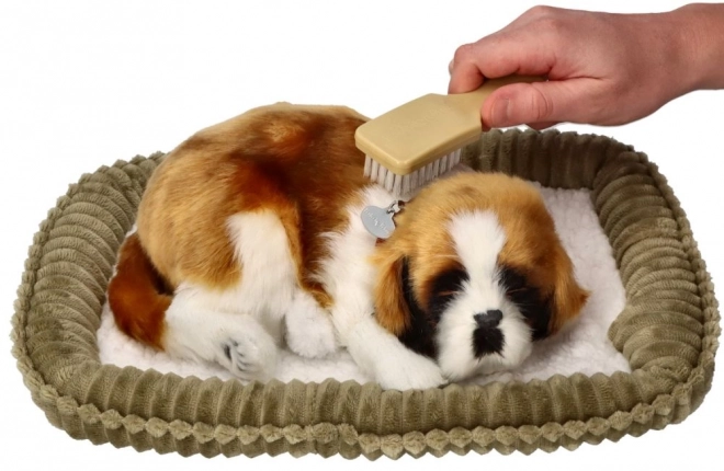 Ademend pluchen Sint-Bernard puppy