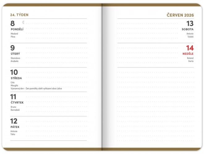 Studentenagenda Academia zwart 2025-2026