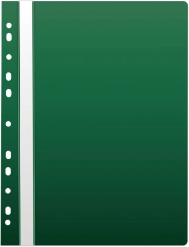Classeur rapide A4 avec euro-perforation, PP, vert