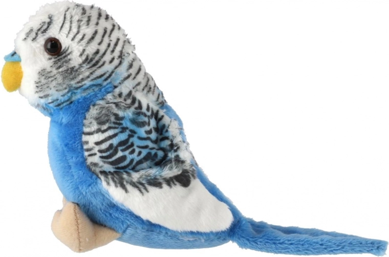 Détails réalistes du plumage et de l’apparence