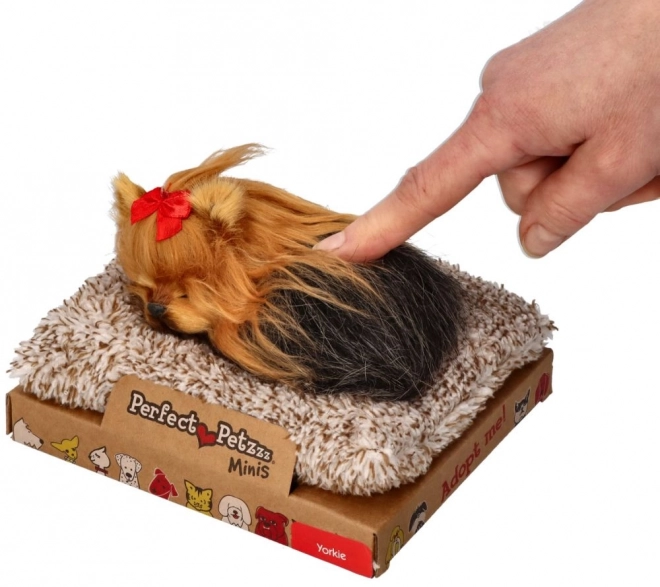 Perfect Petzzz Little Yorkshire Terrier Puppy