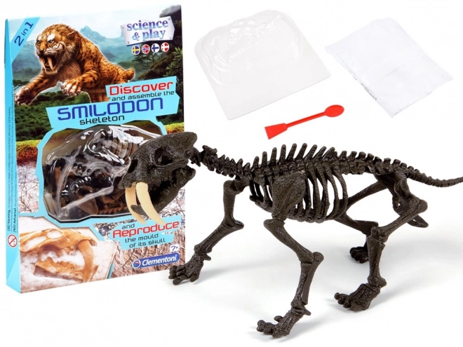 Clementoni Smilodon - Squelette à construire du tigre à dents de sabre