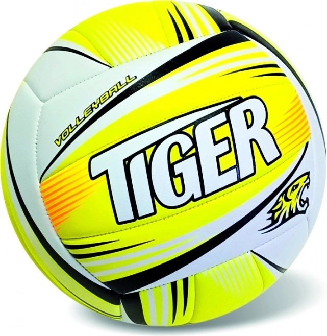 Ballon de volley fluo néon