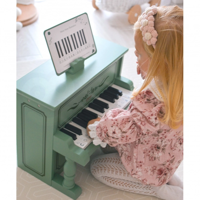 Educational and Fun Set