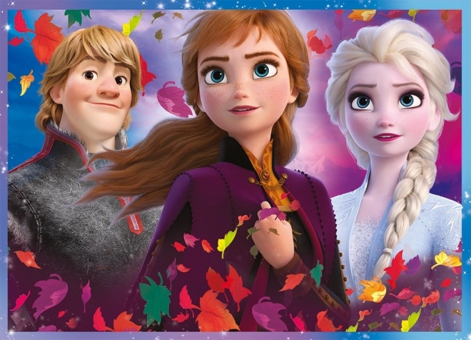Puzzel 4v1 Frozen II in doos 28x28x6cm