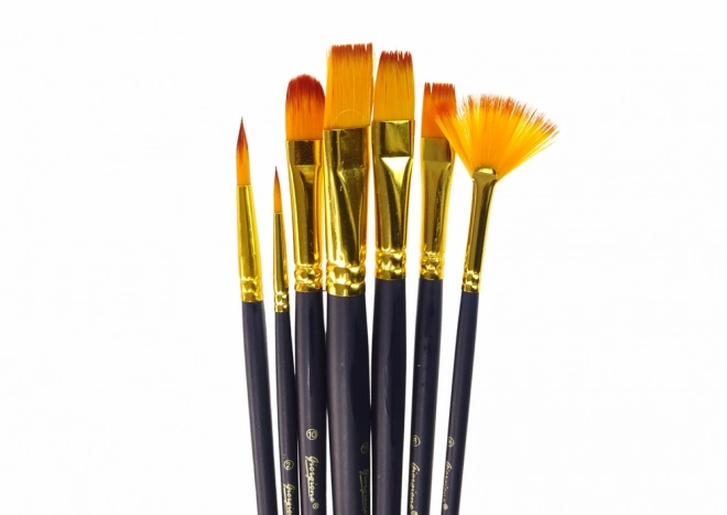 Ensemble de pinceaux pour artistes 7 formes
