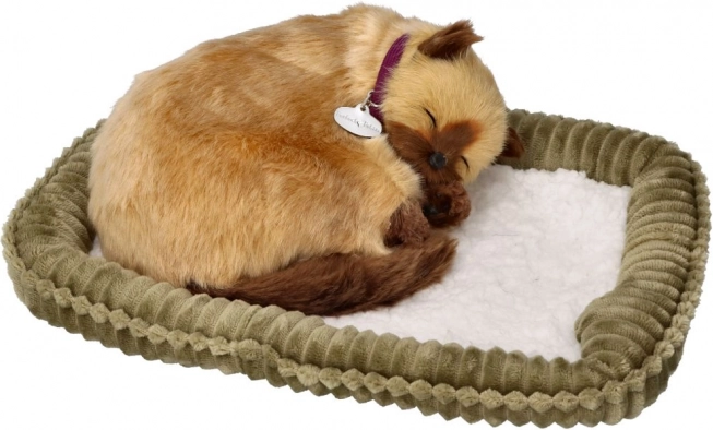 Breathing Siamese Kitten – Realistic Plush Cat on a Bed