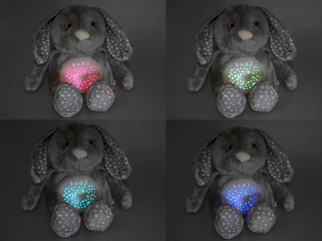 Konijn projectorlamp met slaapliedjes en witte ruis
