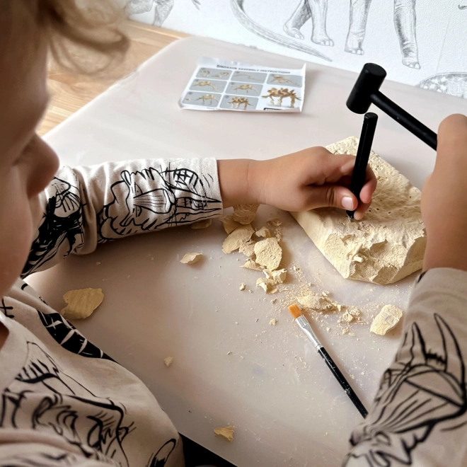 Woopie creatieve speelgoed dinosaurus skelet opgraving