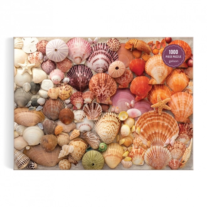 Puzzle Leuchtende Muscheln 1000 Teile