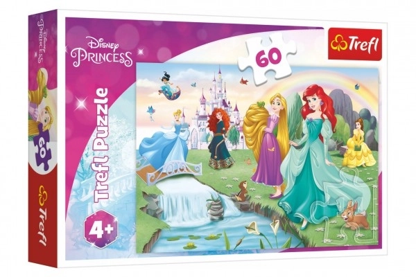 Puzzel Ontmoet de prinsessen 33x22cm 60 stukjes in doos 21x14x4cm