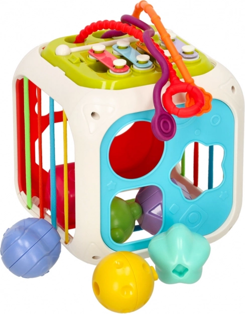 Variety of Sensory Activities