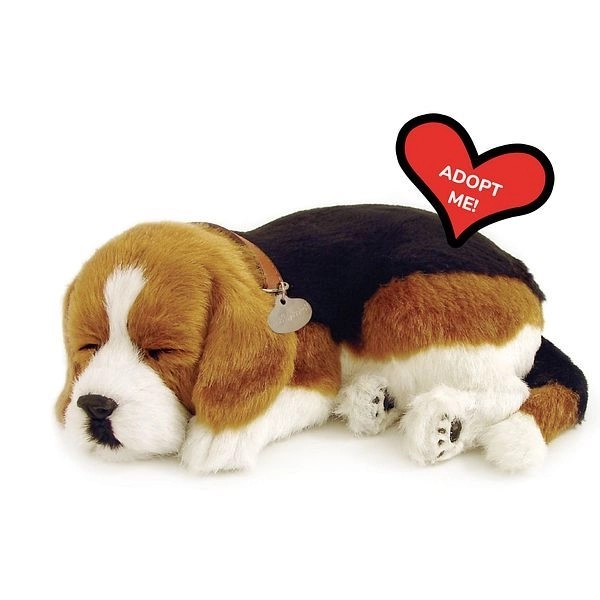 Ademend Puppy Beagle Perfect Petzzz