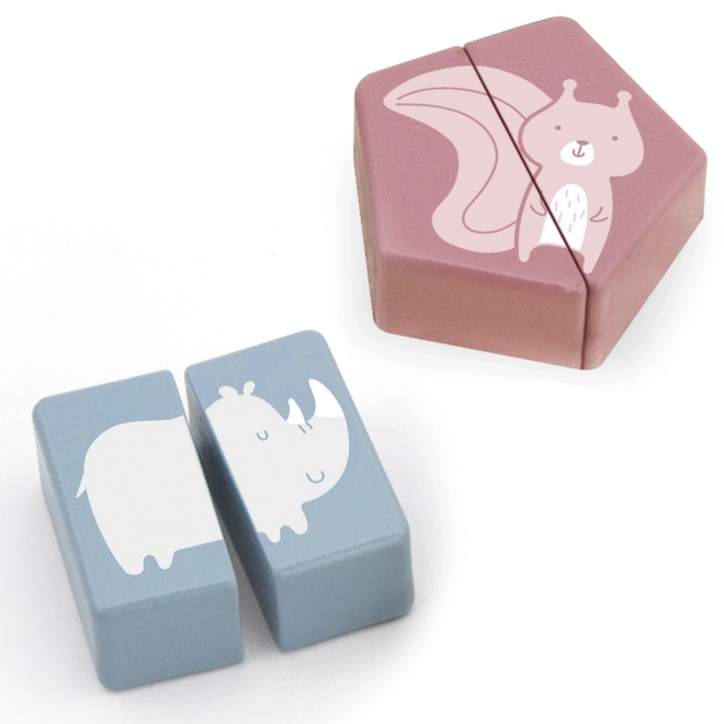 Shape Puzzle PolarB