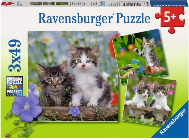 Ravensburger puzzle kittens 3×49 pieces