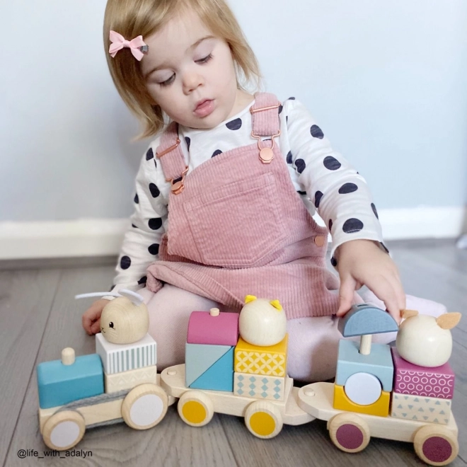 Bigjigs Baby Houten Trein met Dieren