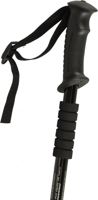 Opvouwbare trekkingstokken Nordic Walking, zwart, 2 stuks