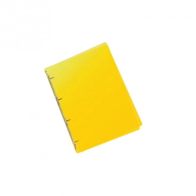 PP Ordner A5 Linien Gelb