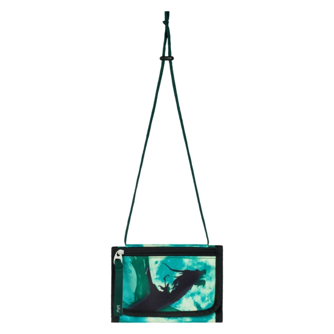 Turquoise ontwerp met drakenmotief