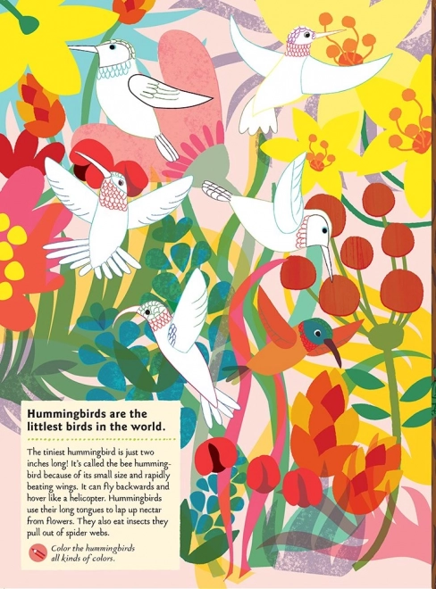 Chronicle Boeken Activiteitenboek met stickers mijn natuur Vogels van de wereld