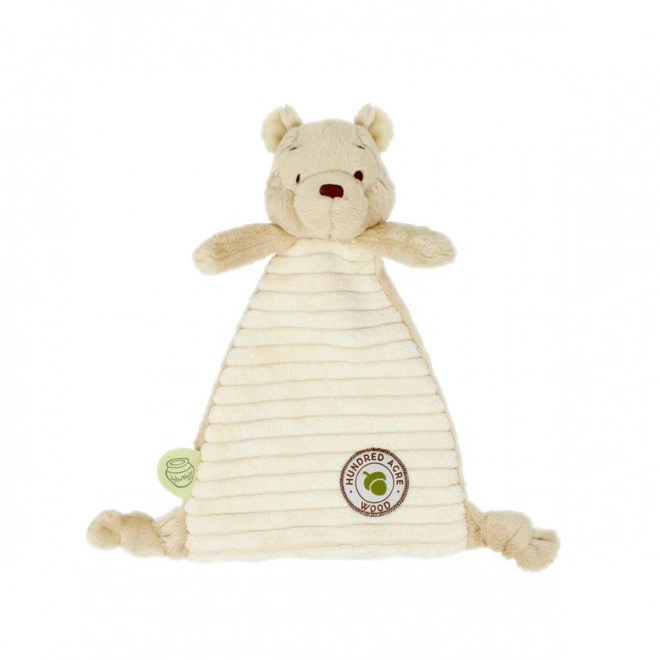 Regenboog Pluchen Knuffeldoekje Winnie de Poeh