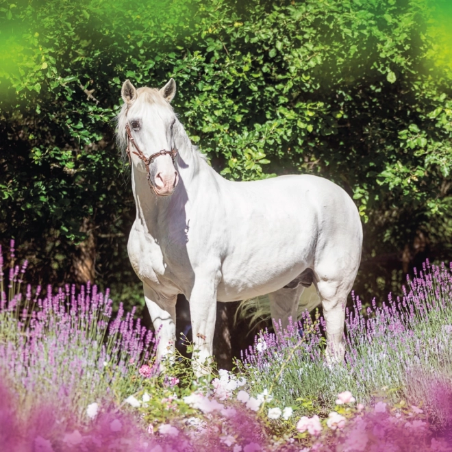 NOTIQUE Notitiekalender Paarden – Christiane Slawik 2025, 30 x 30 cm