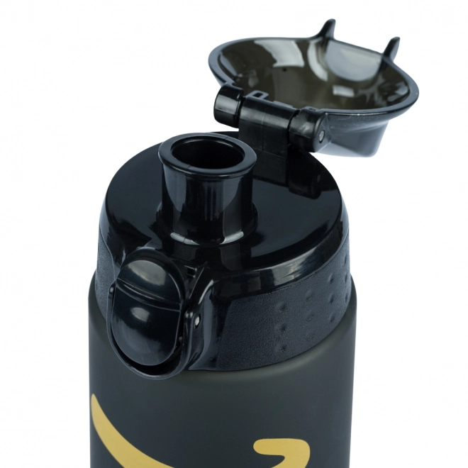 BAAGL Bouteille Tritan Gold, 700 ml