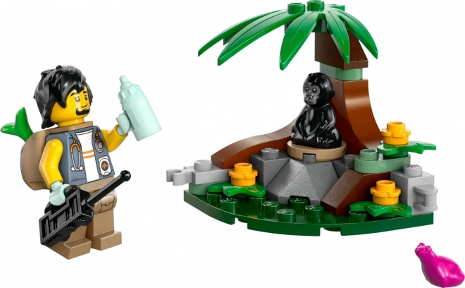 City Adventure Bricks Meeting with a Small Gorilla