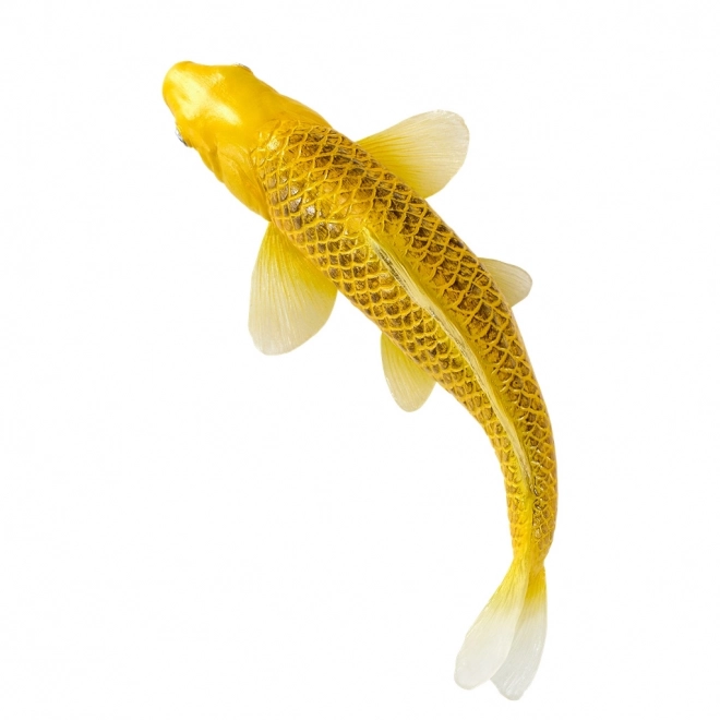 Mojo karper koi Matsuba