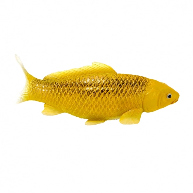 Mojo karper koi Matsuba