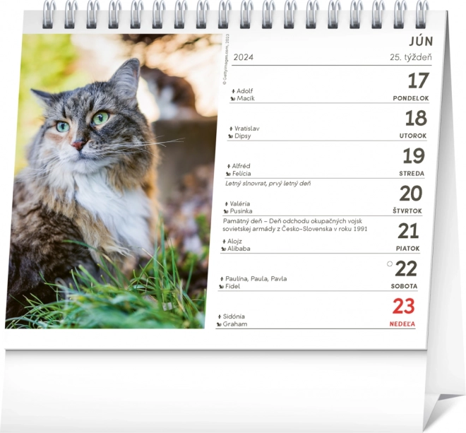 Bureaukalender Katten – met kattienamen 2024, 16,5 × 13 cm