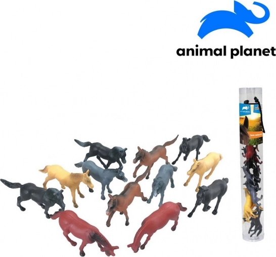 Dieren in een buis - Paarden