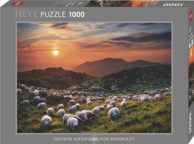 Puzzel 1000 stukjes Schapen en Vulkanen