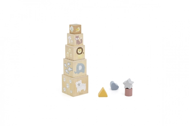 Wooden Activity Set for Toddlers