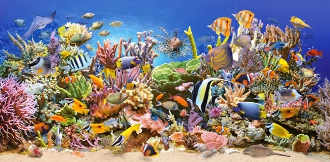puzzel onderwaterleven 4000 stukjes CASTORLAND
