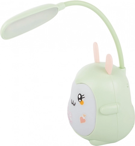 Flexible arm and directional light