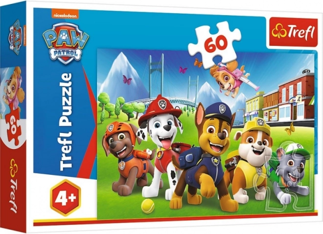 High-quality cardboard and safe pieces