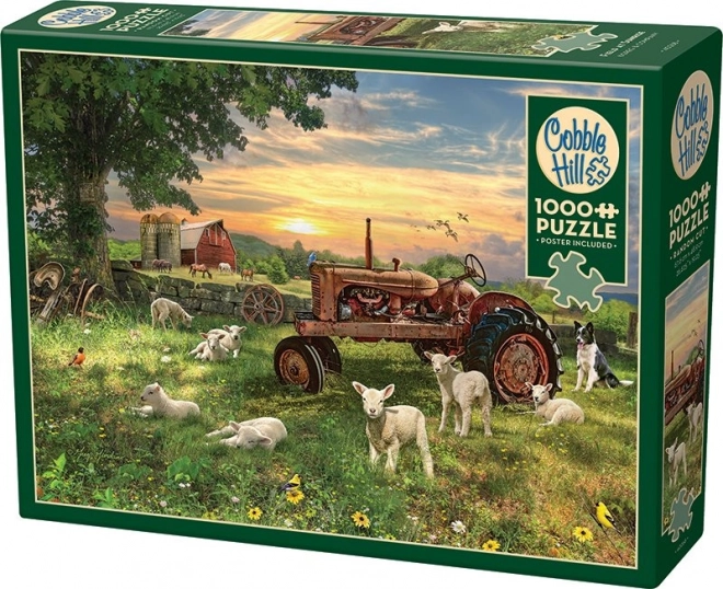 Puzzle Field at Sunrise by Cobble Hill 1000 Pieces