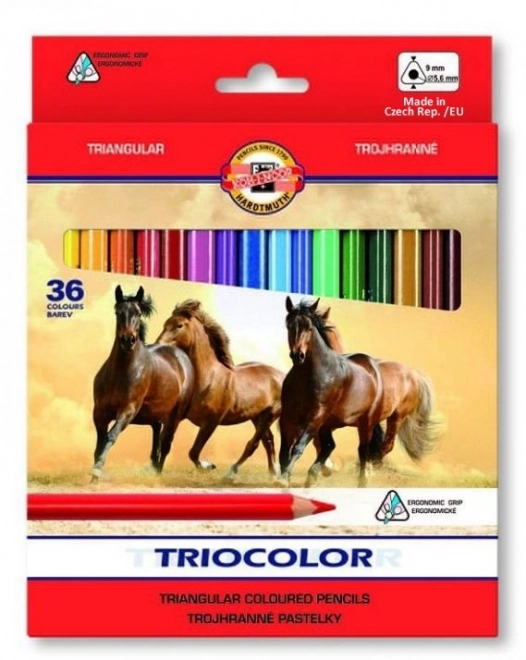 KOH-I-NOOR Driekantige kleurpotloden Triocolor 3145 - 36 stuks