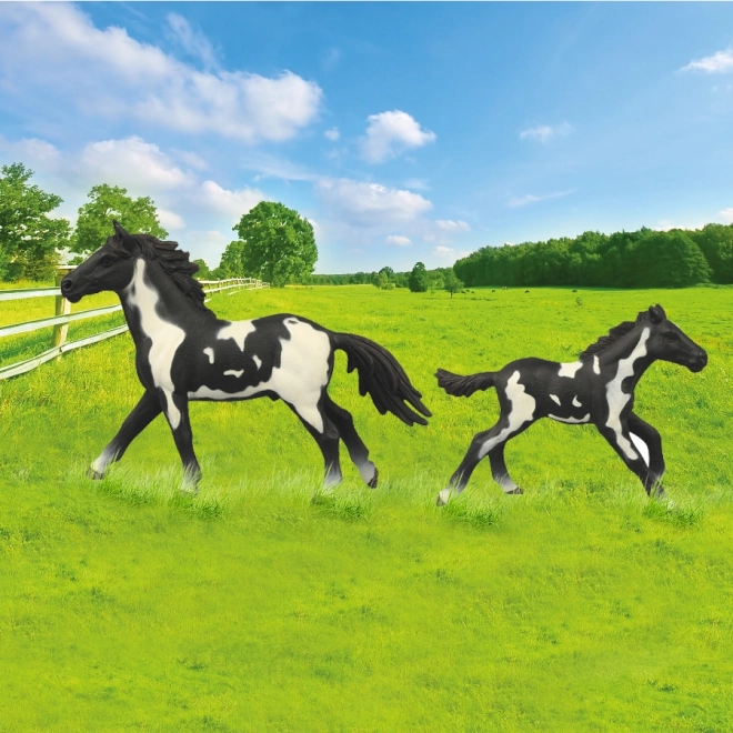 Set of Horses with Enclosure Black-and-White