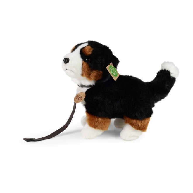 Chien bouvier bernois en peluche Eco-Friendly 22 cm