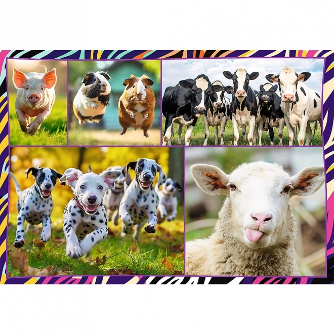Jigsaw Puzzle Set - Funny Animals