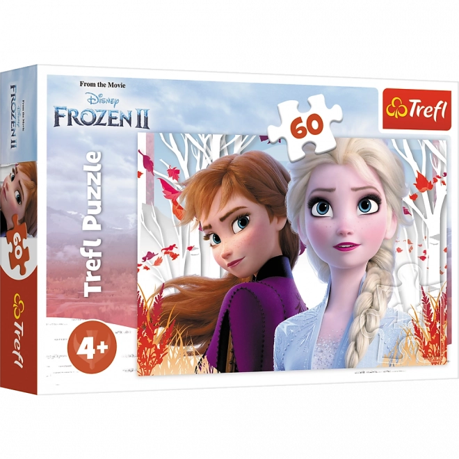 Puzzle 60 pieces Enchanted World of Anna and Elsa