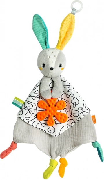 Activity snuggle bunny, DoBabyDoo