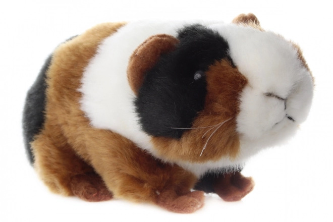 Pluchen cavia